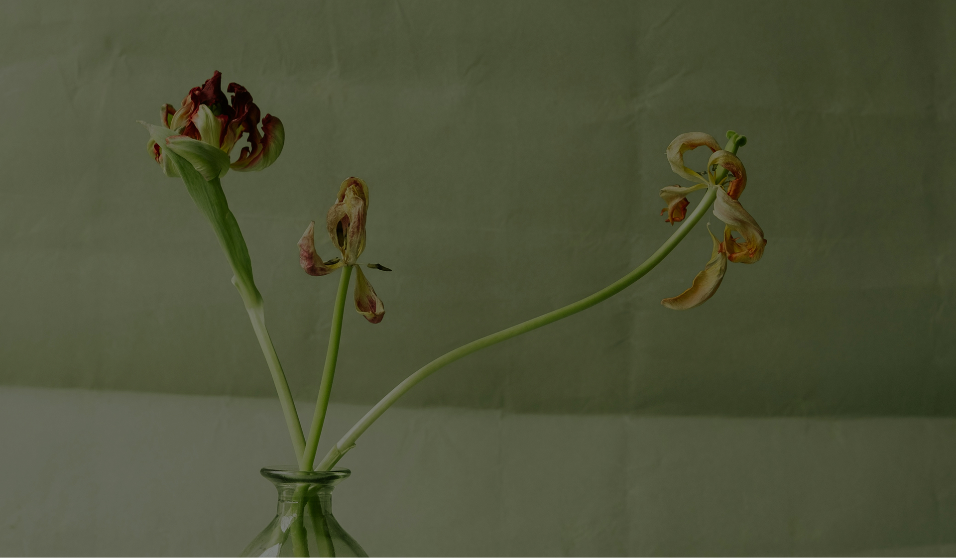 3 flowers placed in a vintage glass jar with a soft green background.