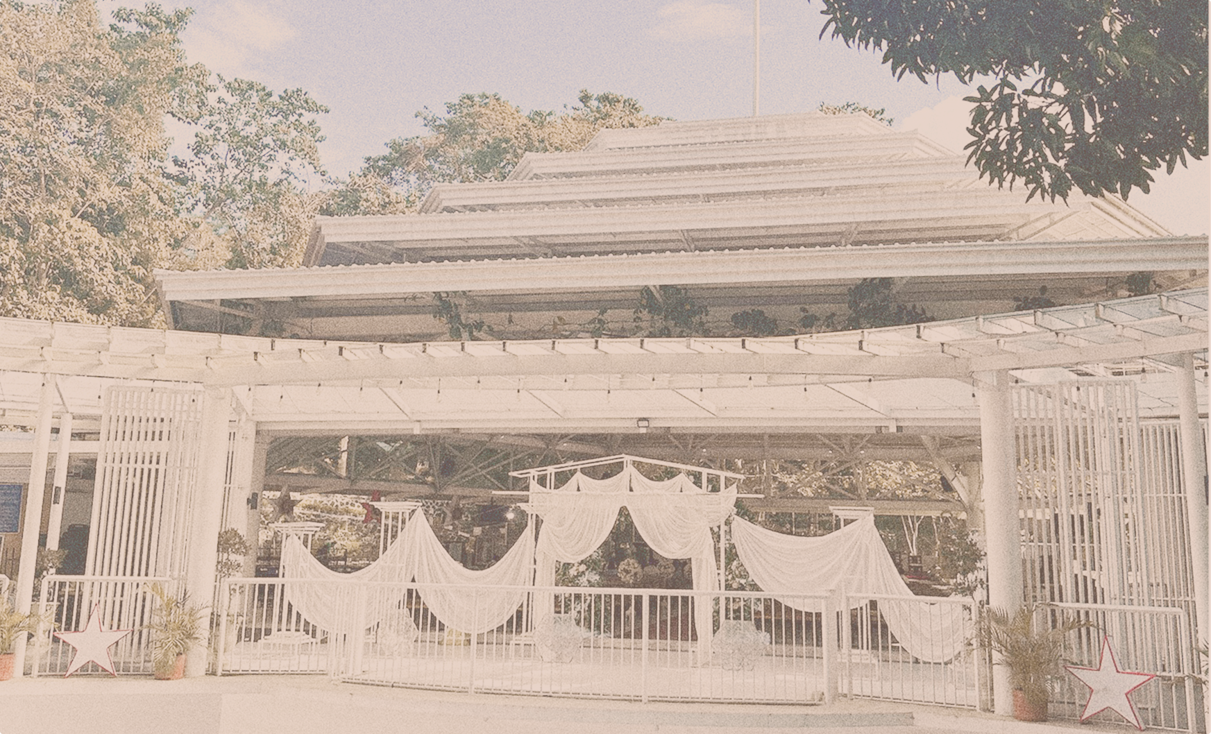 Delicate flowers taped to a wall.